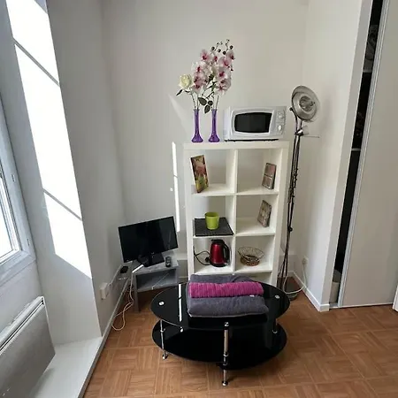 Petit Hyper Centre Apartment Grenoble